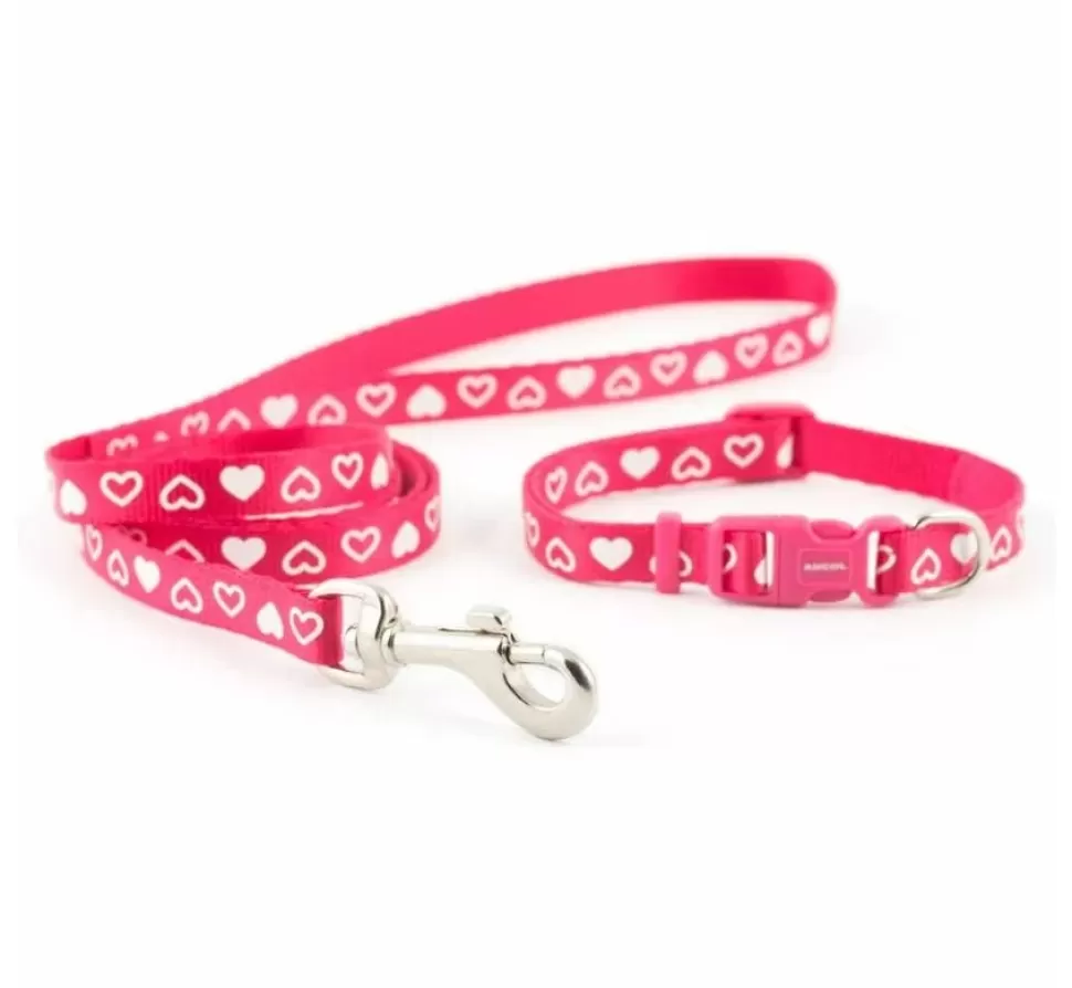 Ancol Hondenhalsband Set Met Riem Heart Rood