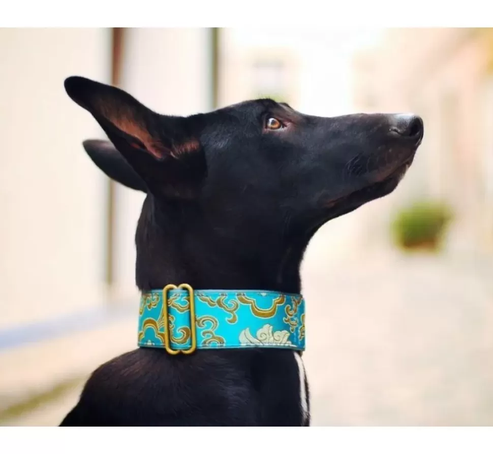 Barcelona Dogs Martingale Hondenhalsband Green