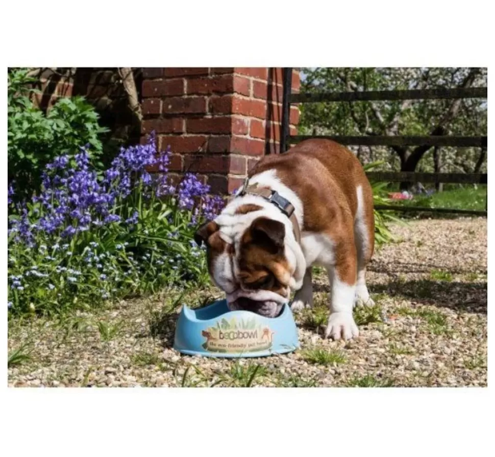 Beco Pets Drinkbak Of Voerbak Beco Bowl Blauw