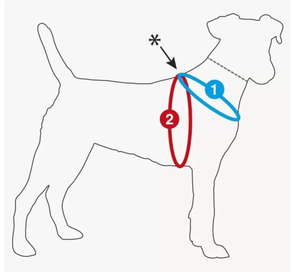 Curli Hondentuig Air-Mesh Harness Lagoon