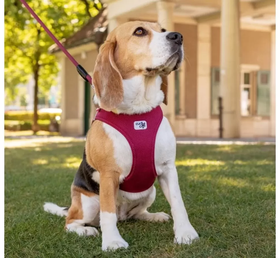 Curli Hondentuig Clasp Vest Harness Rood