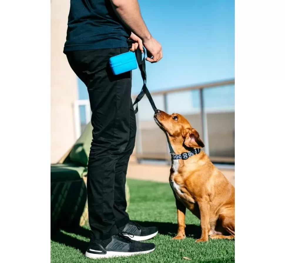 Dexas Beloningszakje Pooch Pouch Pro Blue