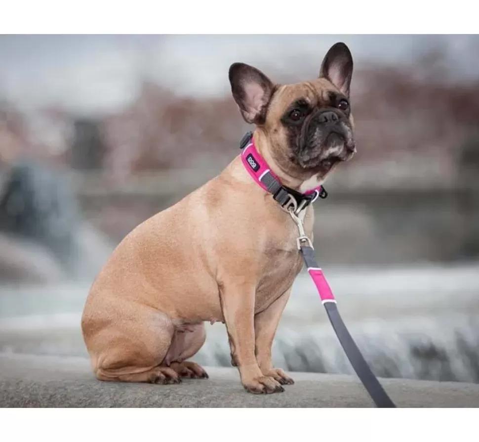 DOG Copenhagen Hondenhalsband Urban Explorer Wild Rose (V2)