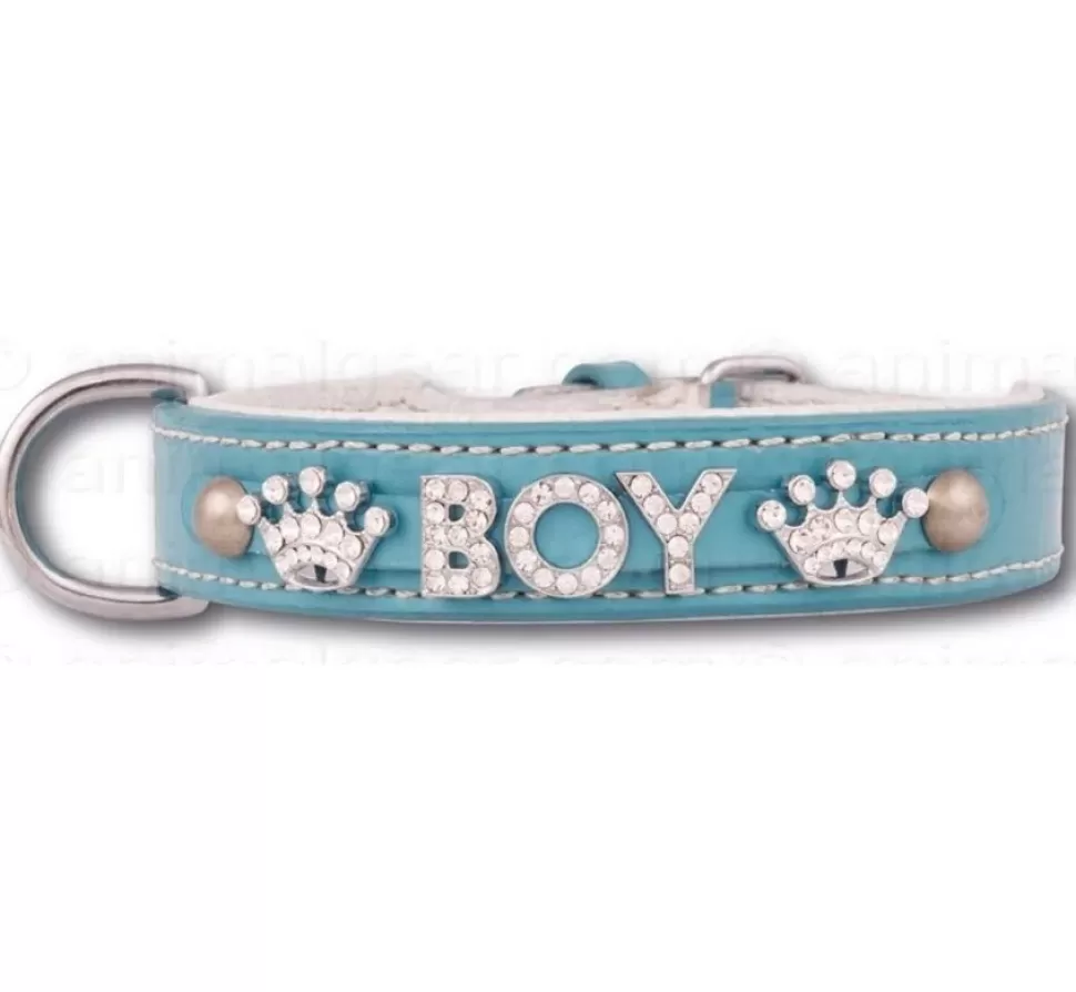 Doxtasy Hondenhalsband Met Naam Medium Babyblue