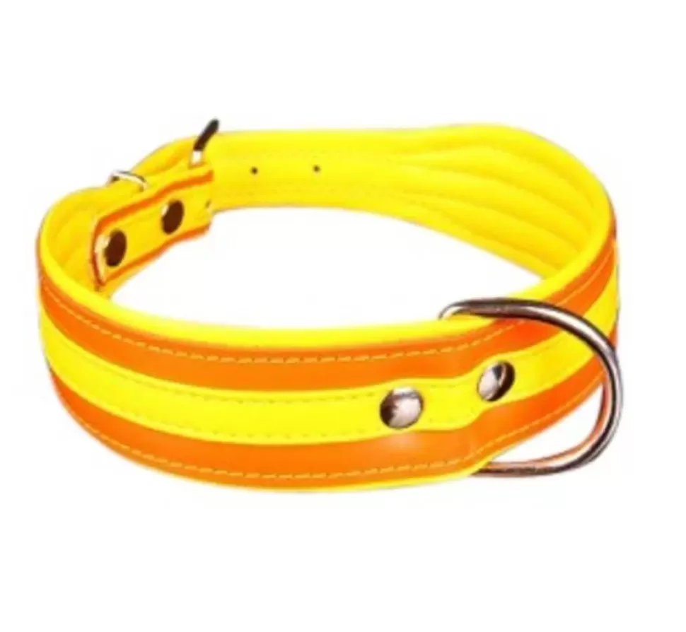 * Hondenhalsband Colors Oranje