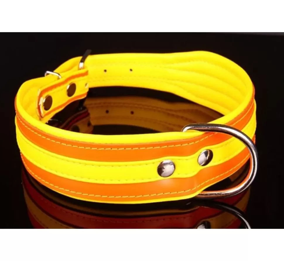 * Hondenhalsband Colors Oranje