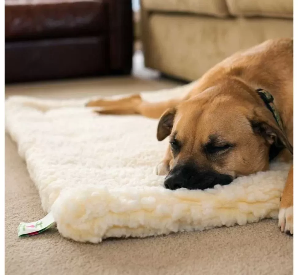 Hugglehounds Fleece Mat