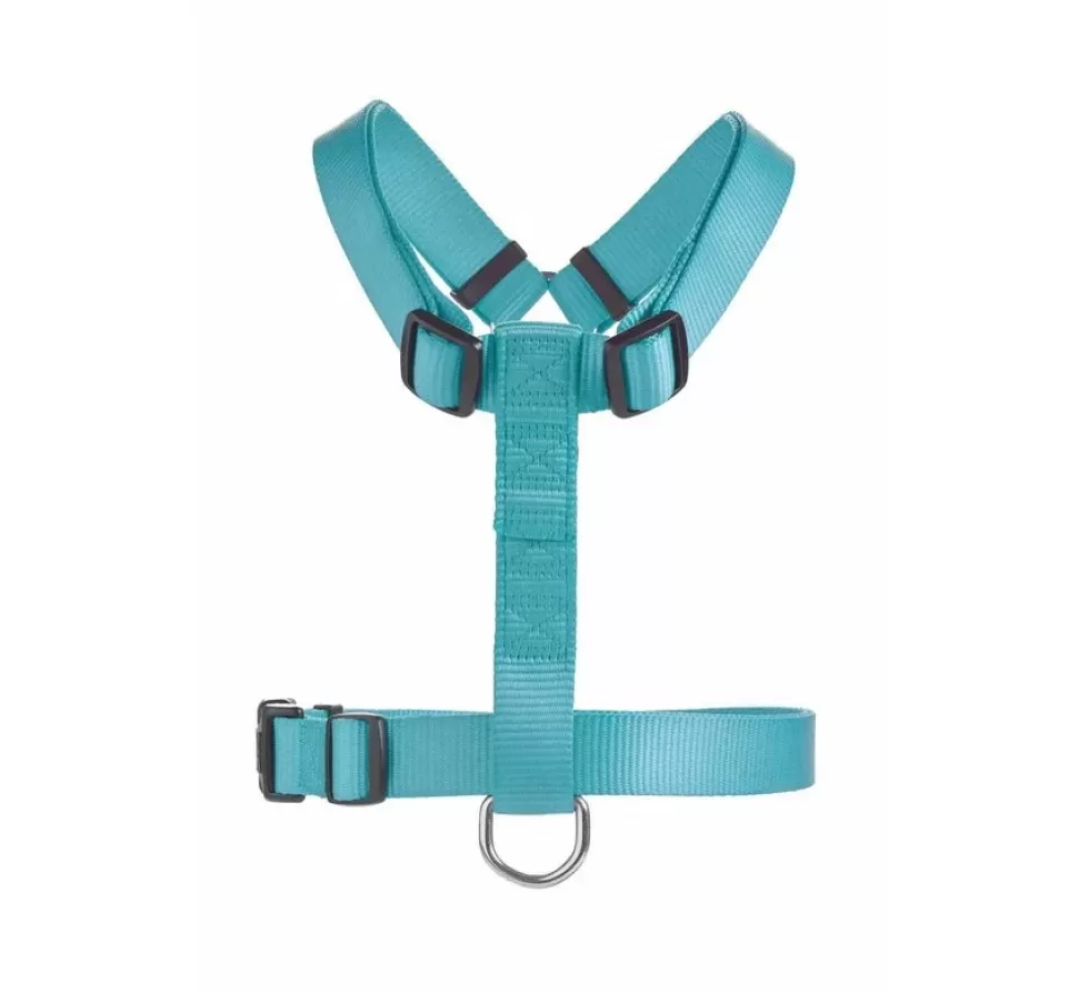 Hunter Hondentuig Ecco Sport Basic Turquoise