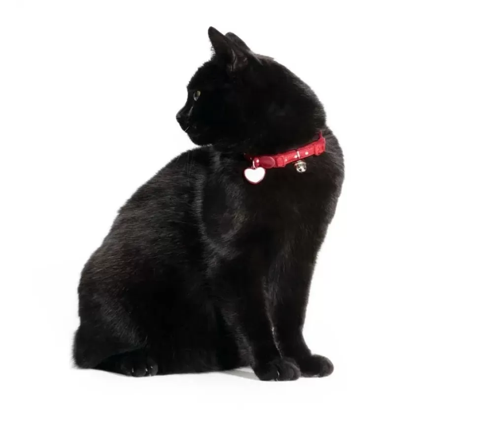 Hunter Kattenhalsband Glossy Dots Rood