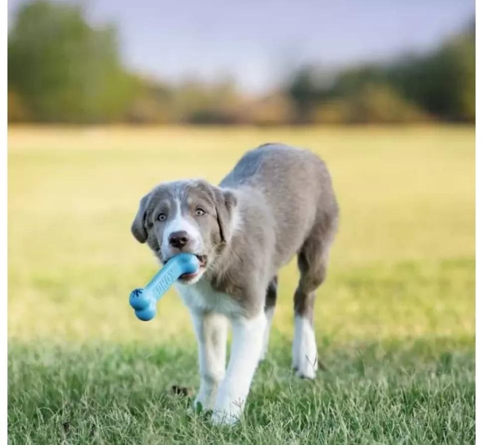 Kong Hondenspeelgoed Goodie Bone Puppy