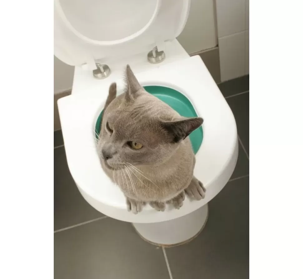 Litter Kwitter Toilet Training Systeem Voor Katten