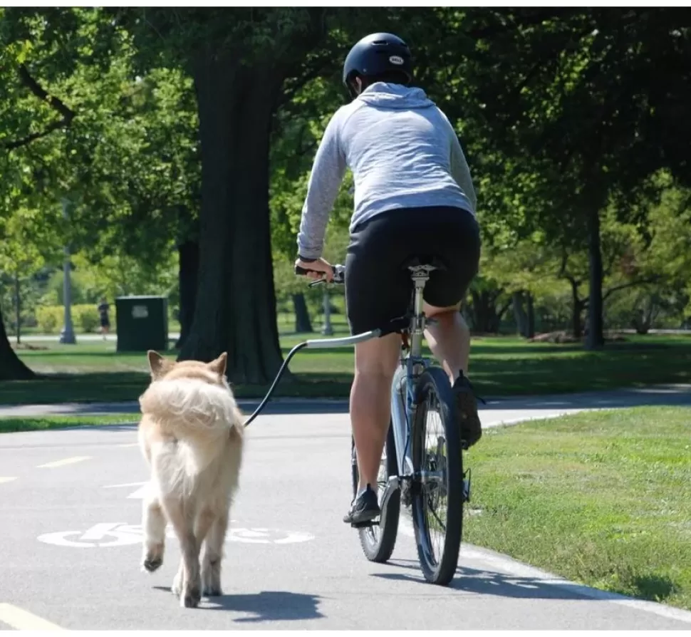 Petego Fiets Aanlijnriem Cycleash