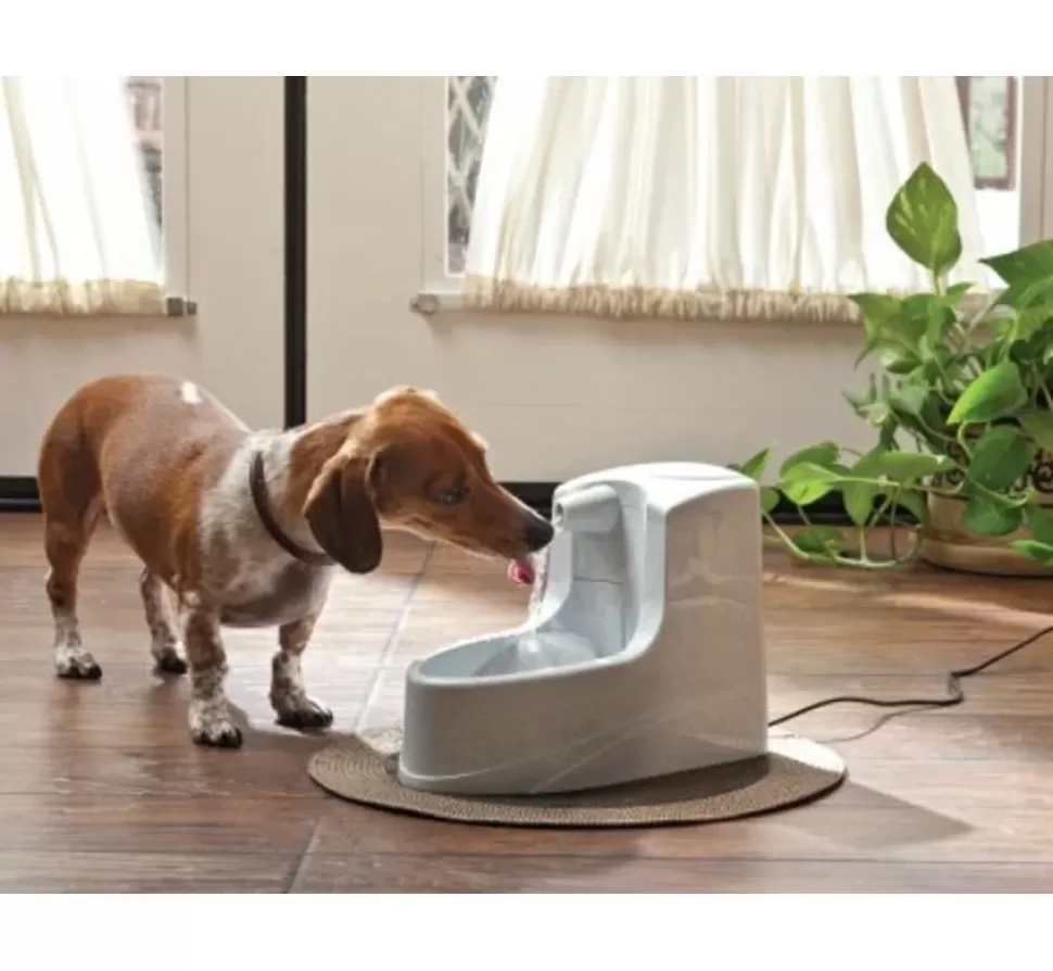 Petsafe Drinkfontein Drinkwell Mini