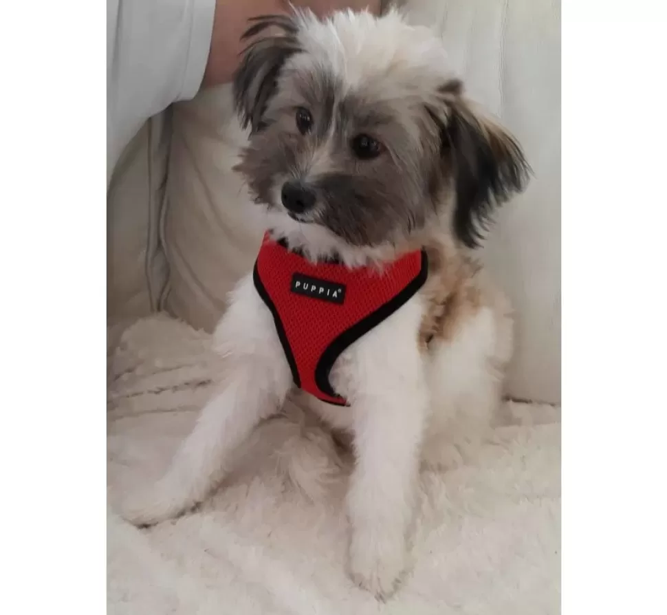 Puppia Hondentuig Soft Harness Rood