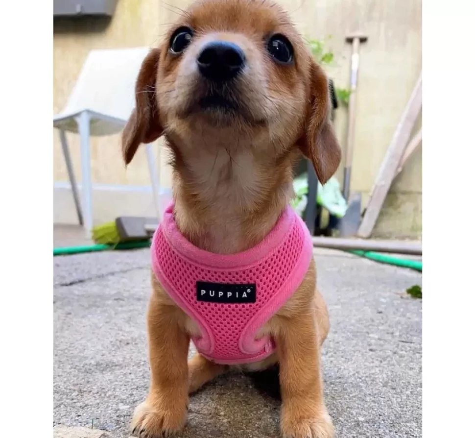 Puppia Hondentuig Soft Harness Roze