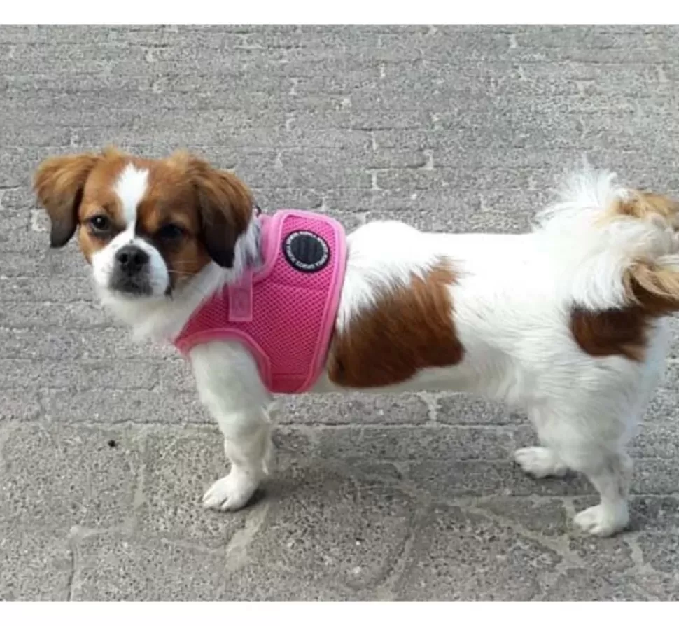 Puppia Hondentuig Soft Vest Roze