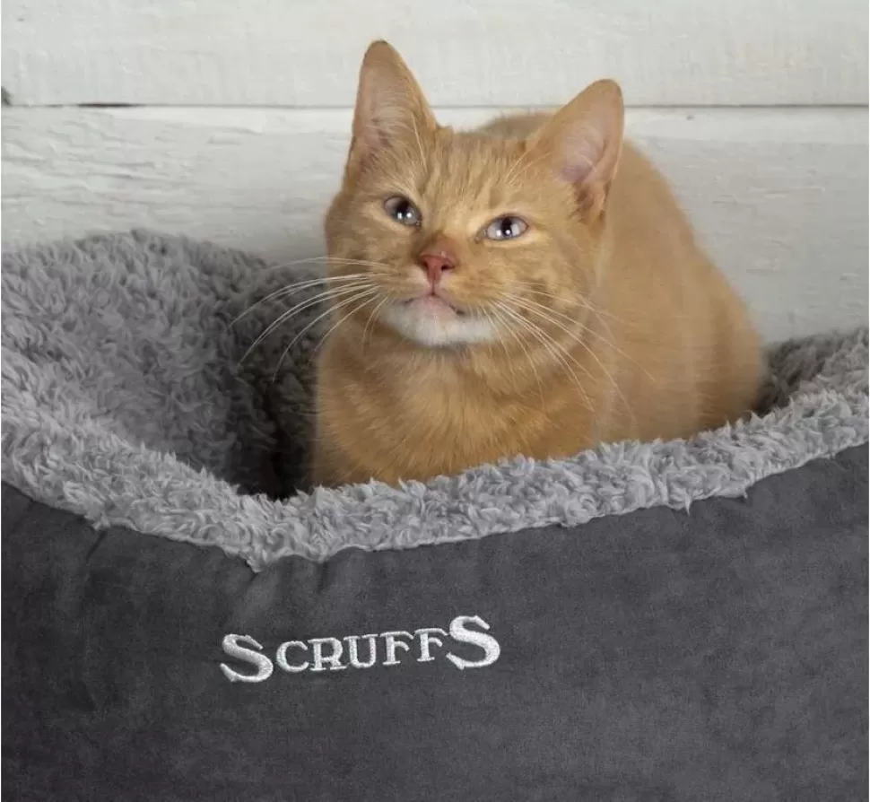 Scruffs Kattenmand Cosy