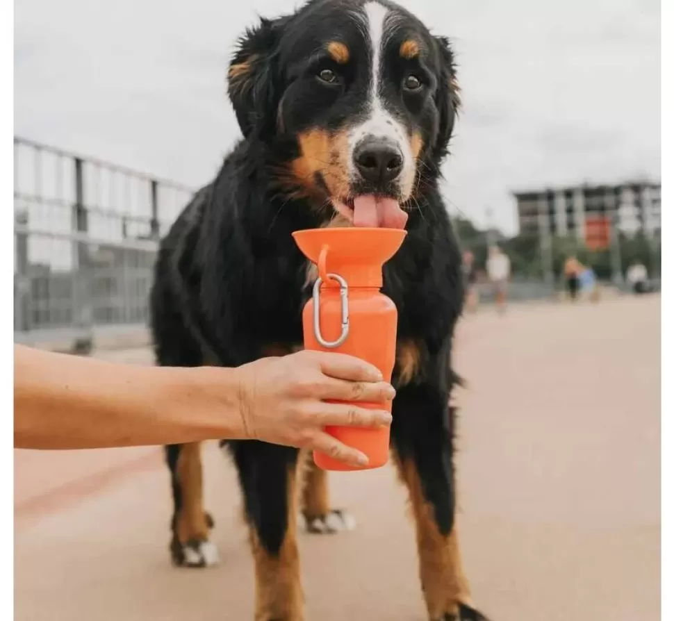 Springer Drinkfles Hond Klassiek Poppy